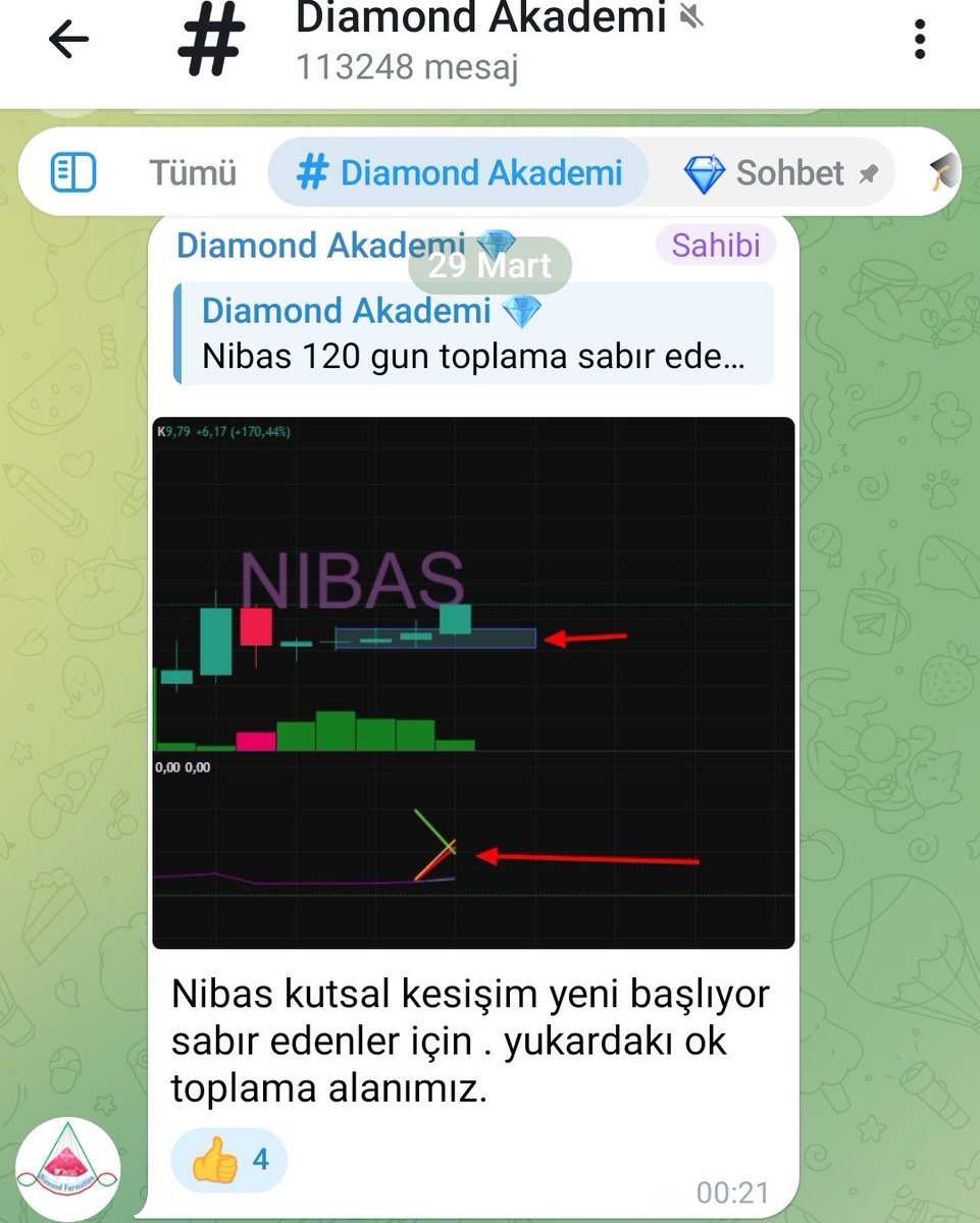 Diamond Akademi tweet media