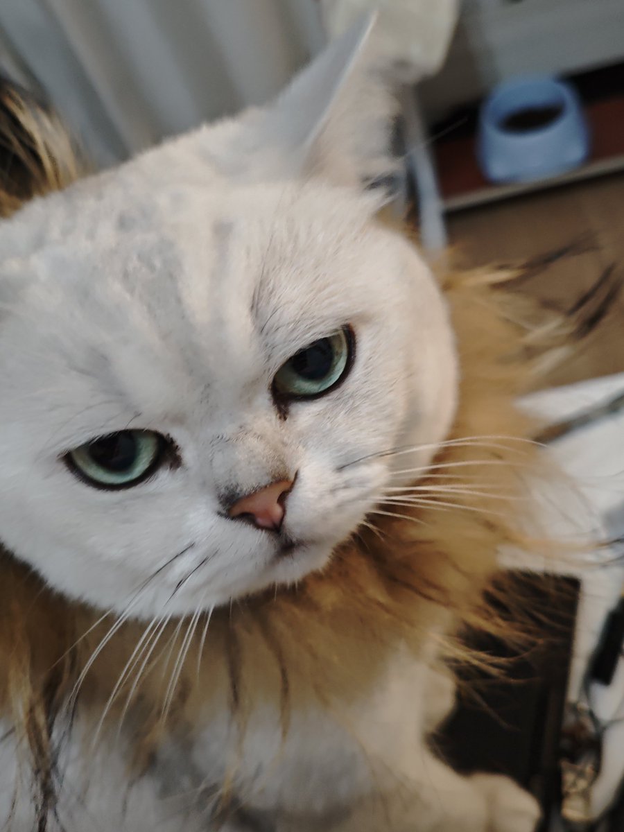 あっ伸びーーーーーーーてこよ~~おcoooooo tweet media