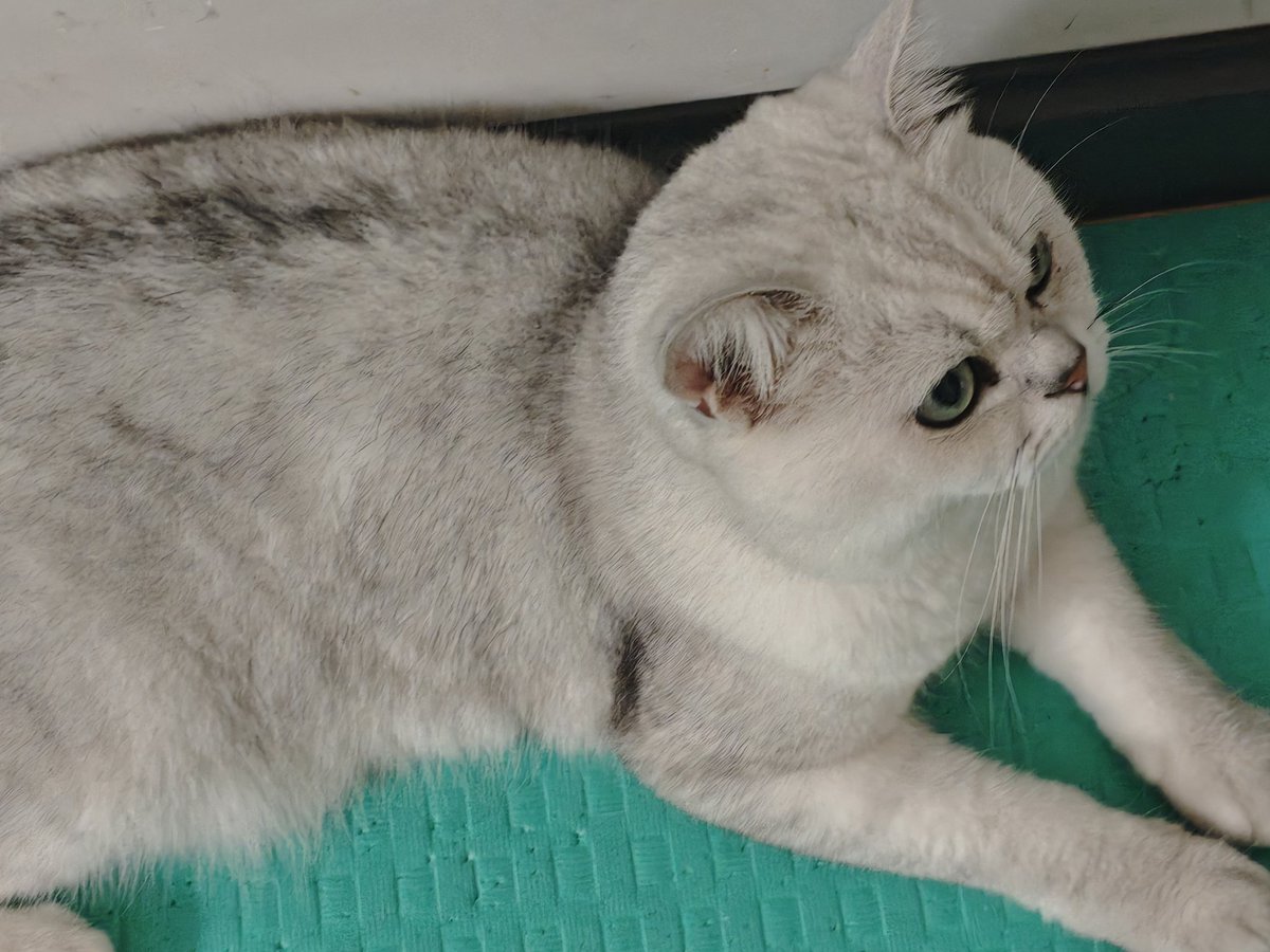 あっ伸びーーーーーーーてこよ~~おcoooooo tweet media