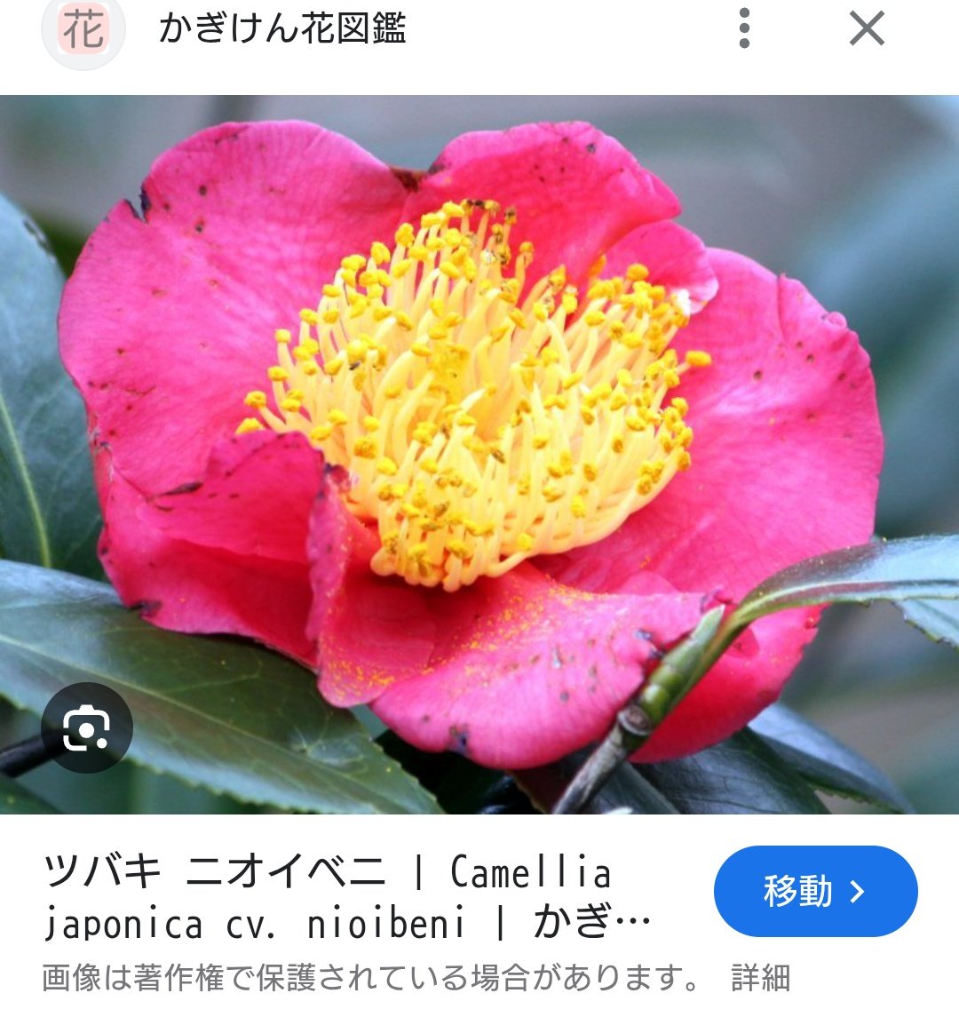 💋みこす tweet media