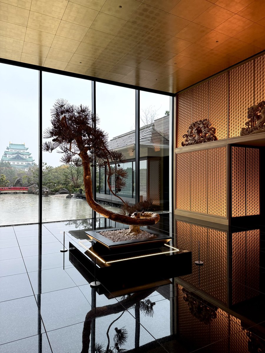 宇宙海賊 tweet media