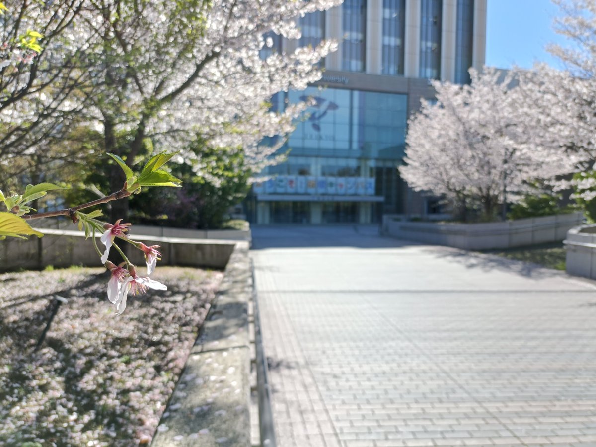 帝京大学大学院公衆衛生学研究科 tweet media