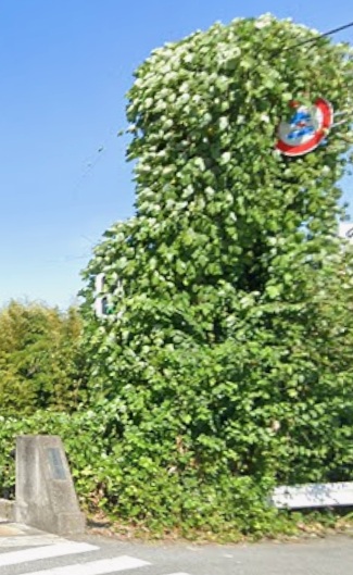 田丸浩史 tweet media