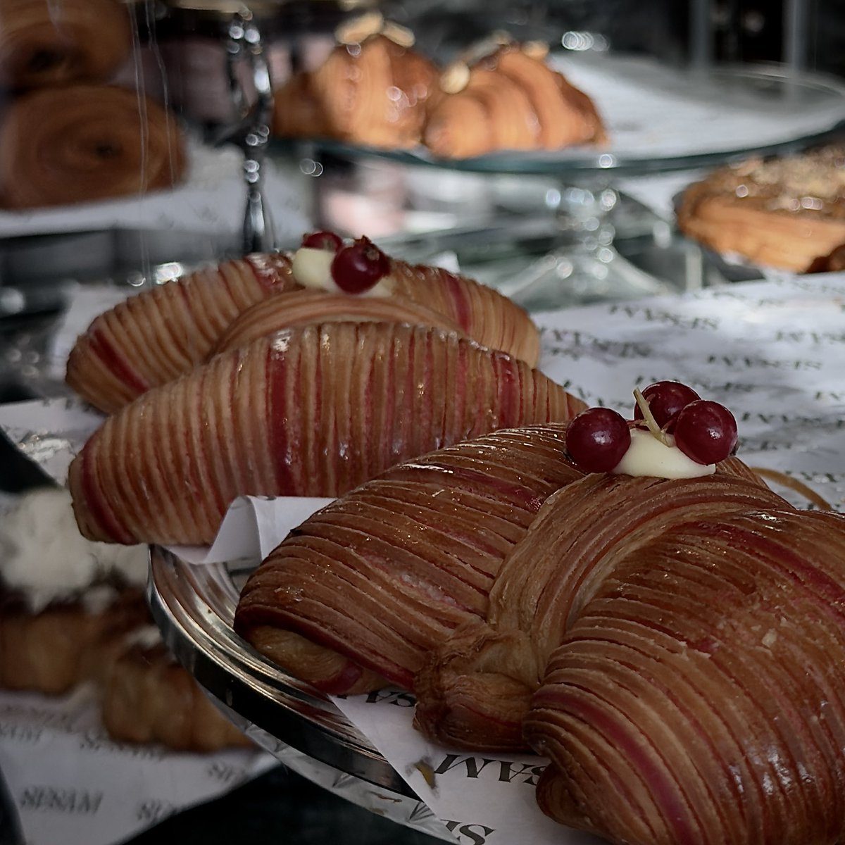 𐐪𐑂 tweet media