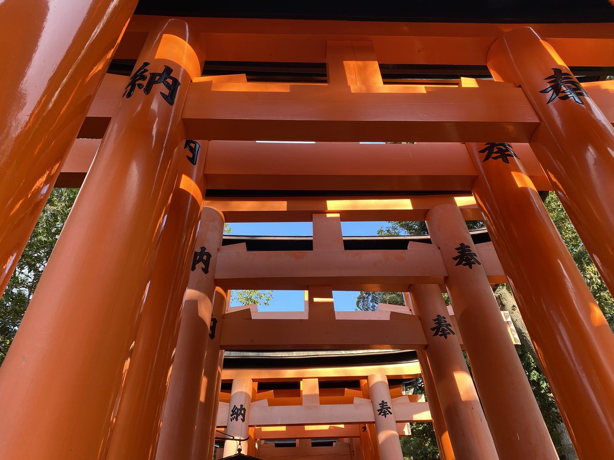 ぼんち☆ tweet media