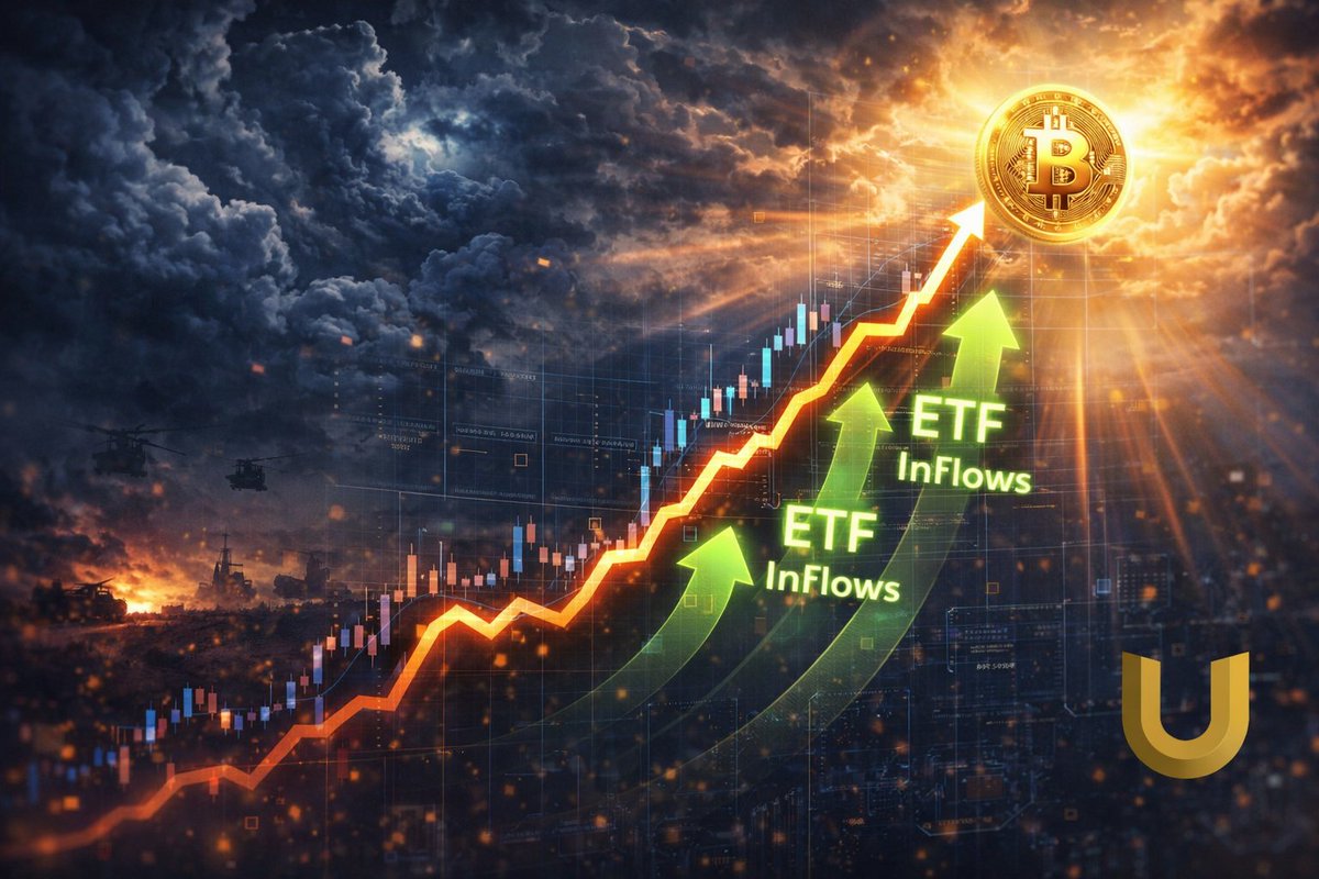 UAEC华语 tweet media