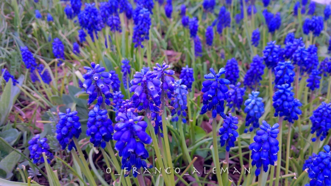 Franck Marc ✌ tweet media