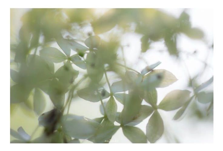 jas ☆°• (6/20lbs) tweet media