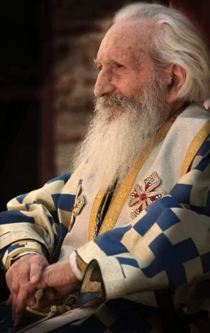 Севастократор tweet media