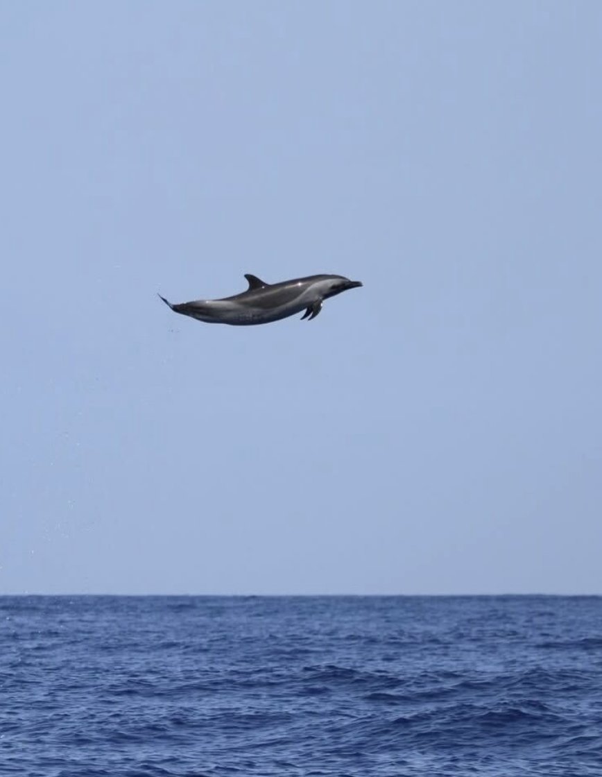 folkative tweet media