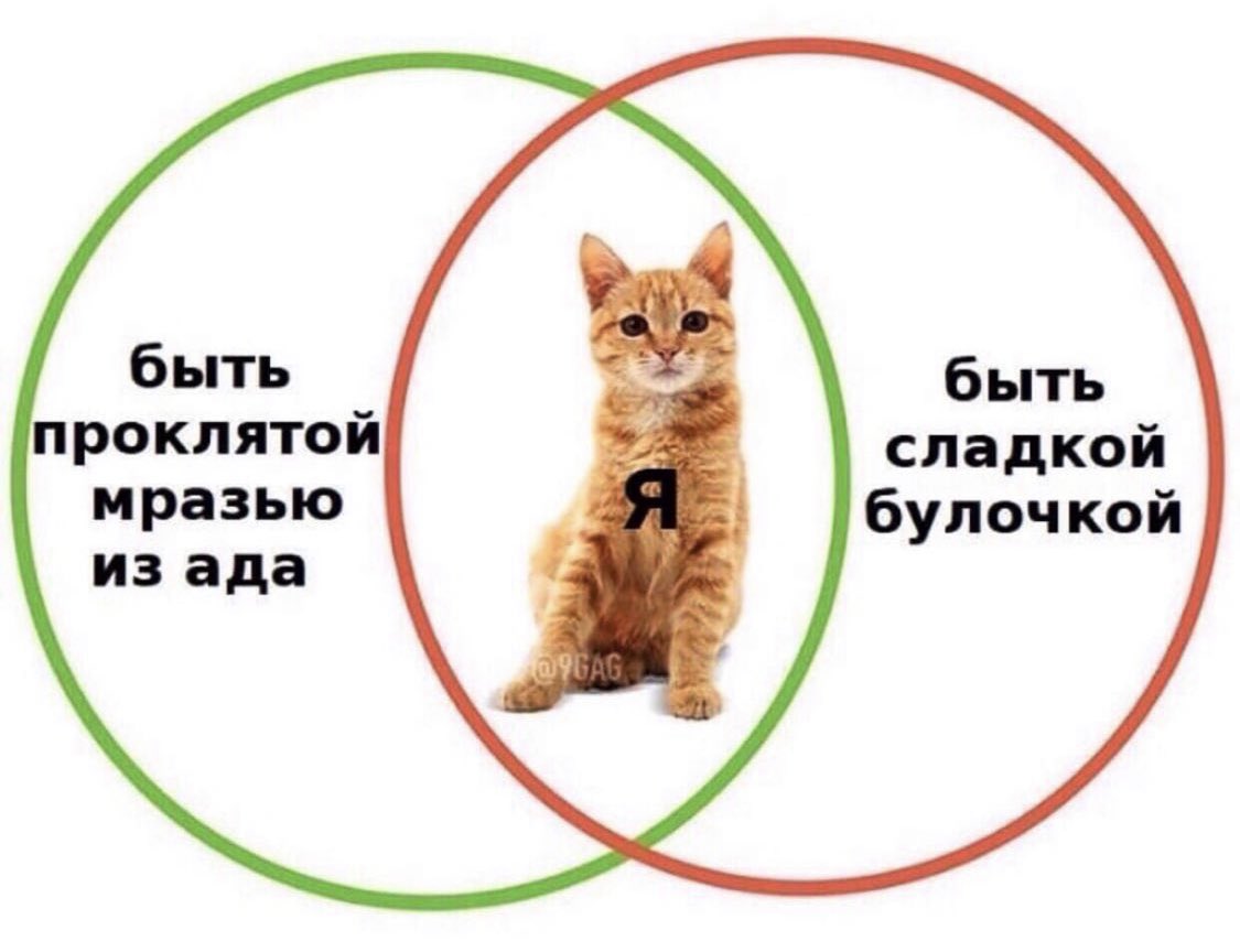 Verbafan tweet picture