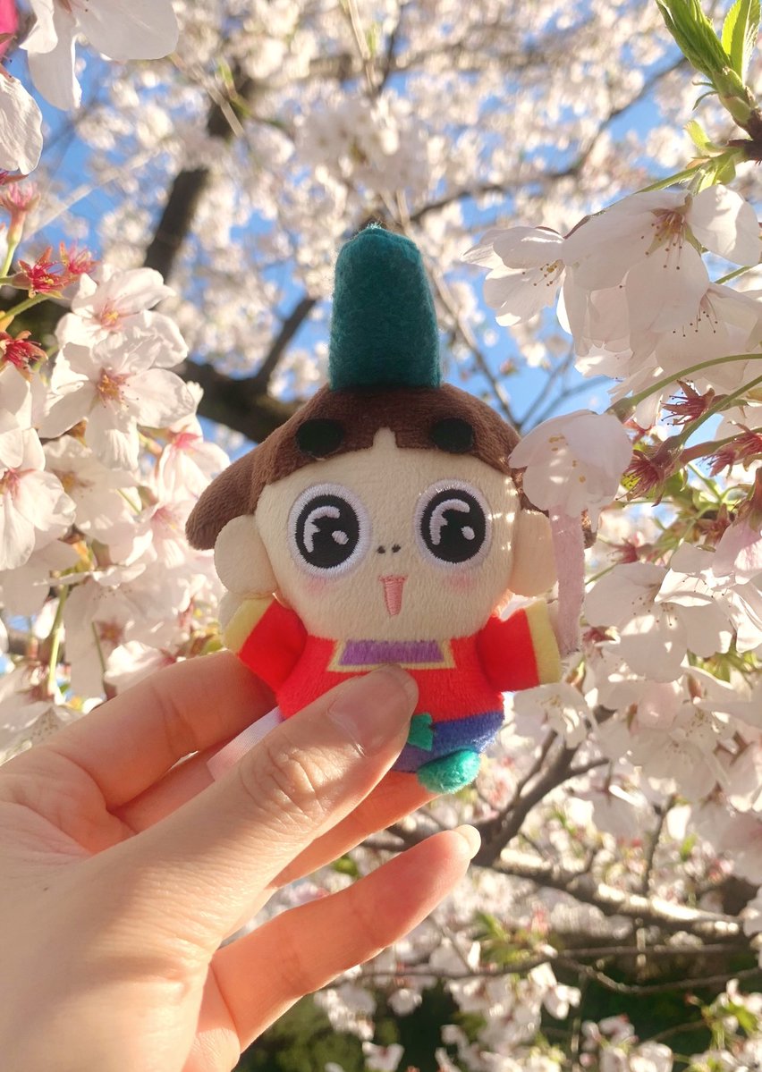 滝本 葵 tweet media