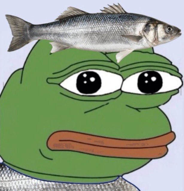 Kittycel tweet media