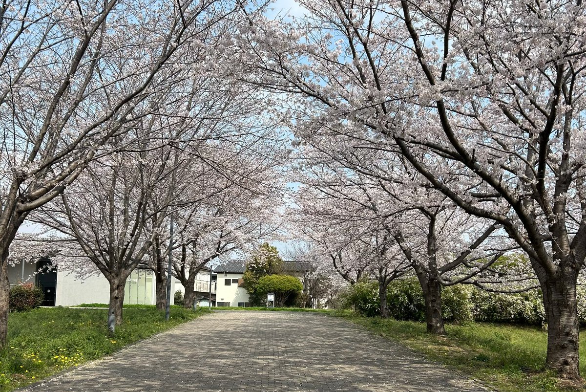 東京理科大学機械工学研究会 TUSFR tweet media