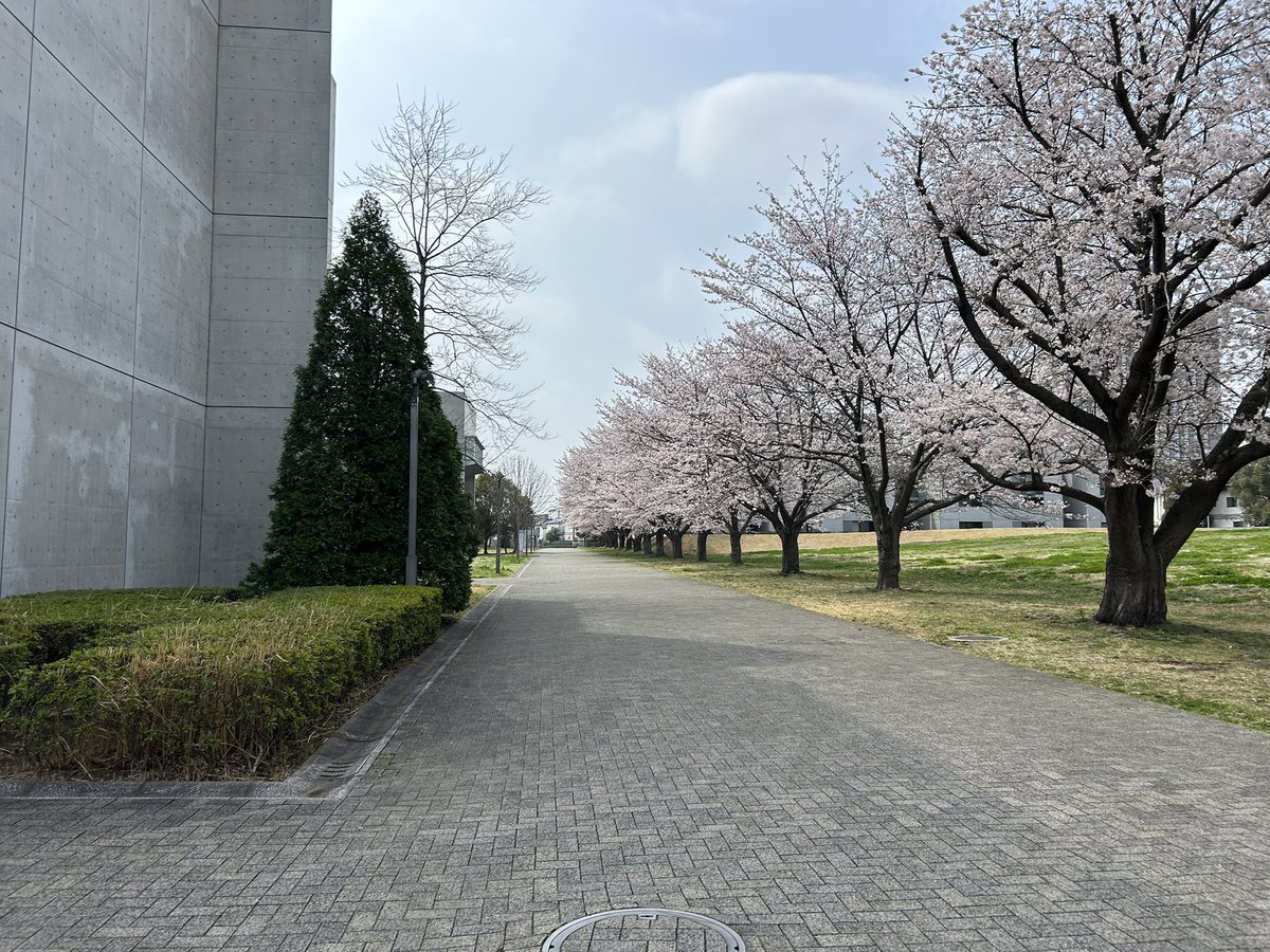 東京理科大学機械工学研究会 TUSFR tweet media