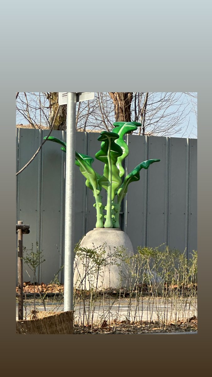 🦋🐶오예wi🐱🦊 tweet media