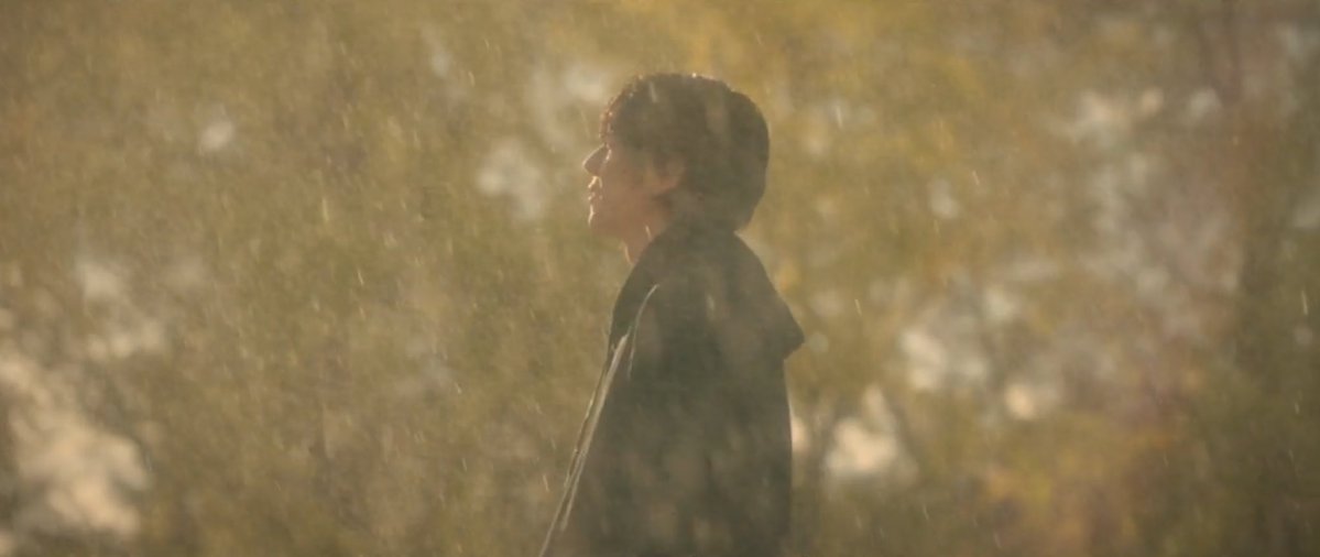 ᴀᴍᴀɴɪ. tweet media