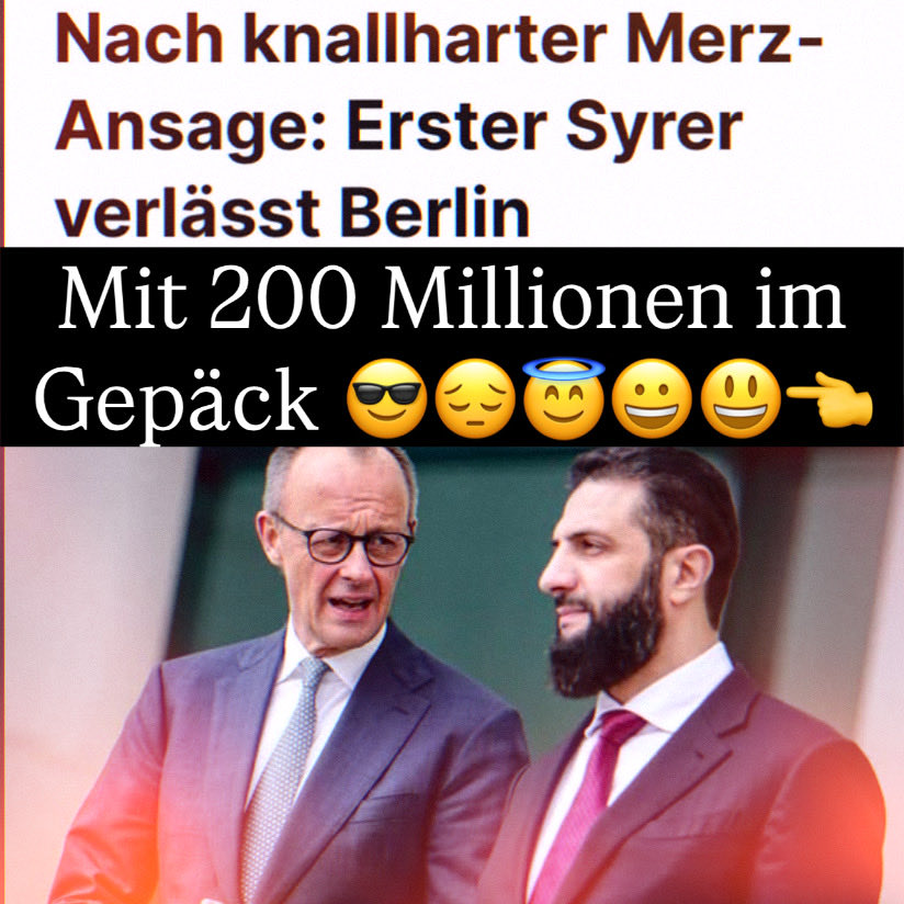 WaldemarMa1er tweet media