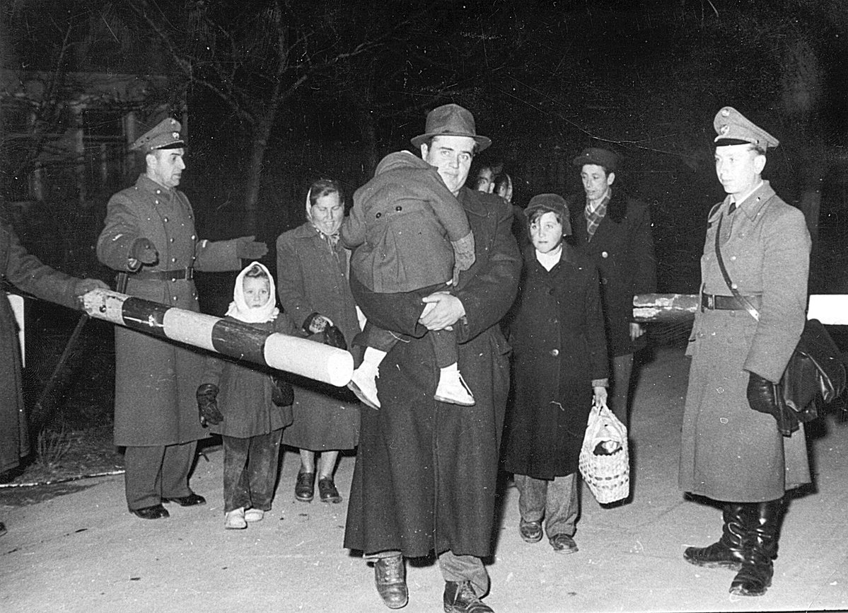 IOM - UN Migration 🇺🇳 tweet media