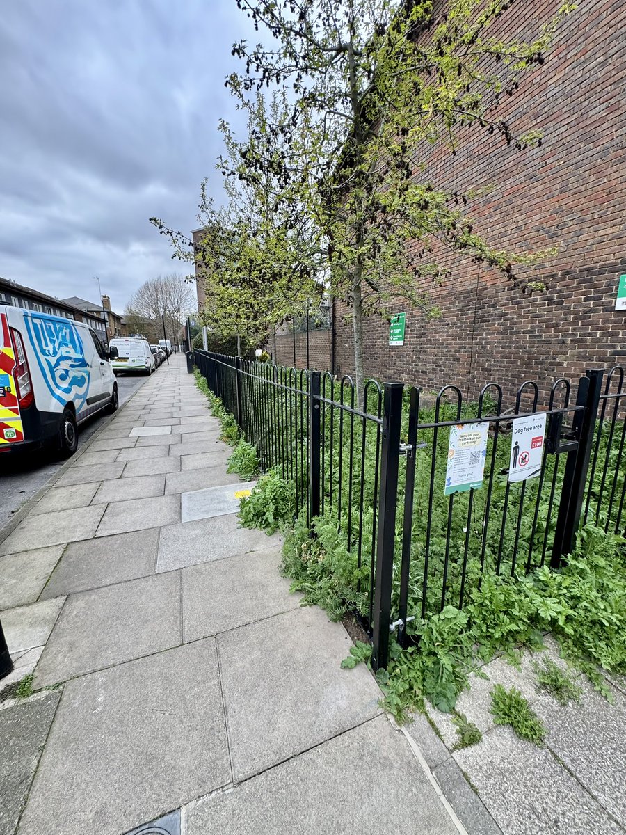 Angelo Weekes tweet media