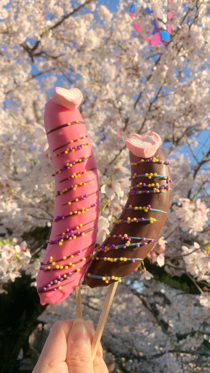 滝本 葵 tweet media