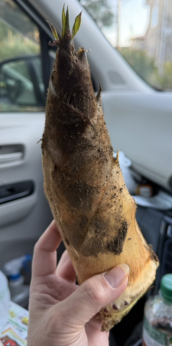 ちよ🌟 tweet media