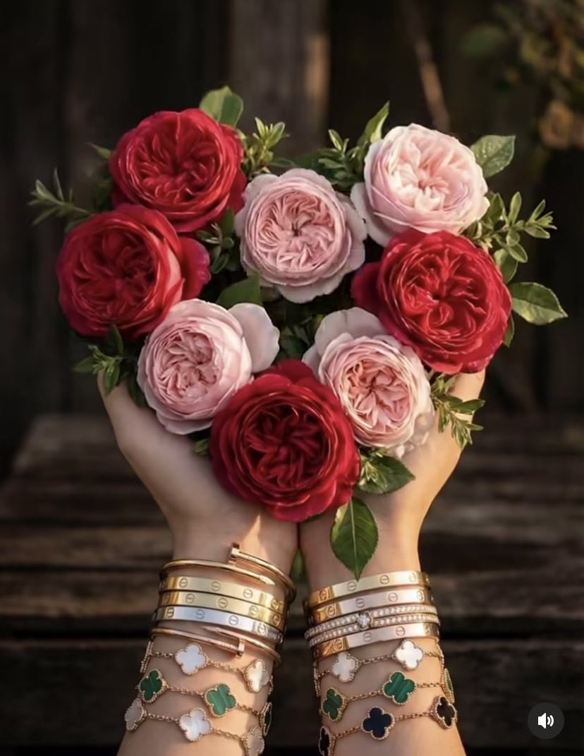 🇸🇦🇸🇦ساره الشهري🇸🇦🇸🇦 tweet media