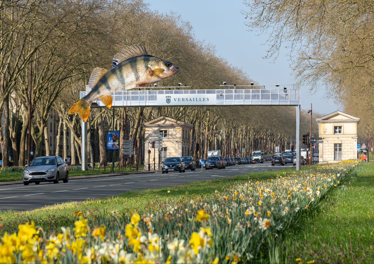 Versailles tweet media