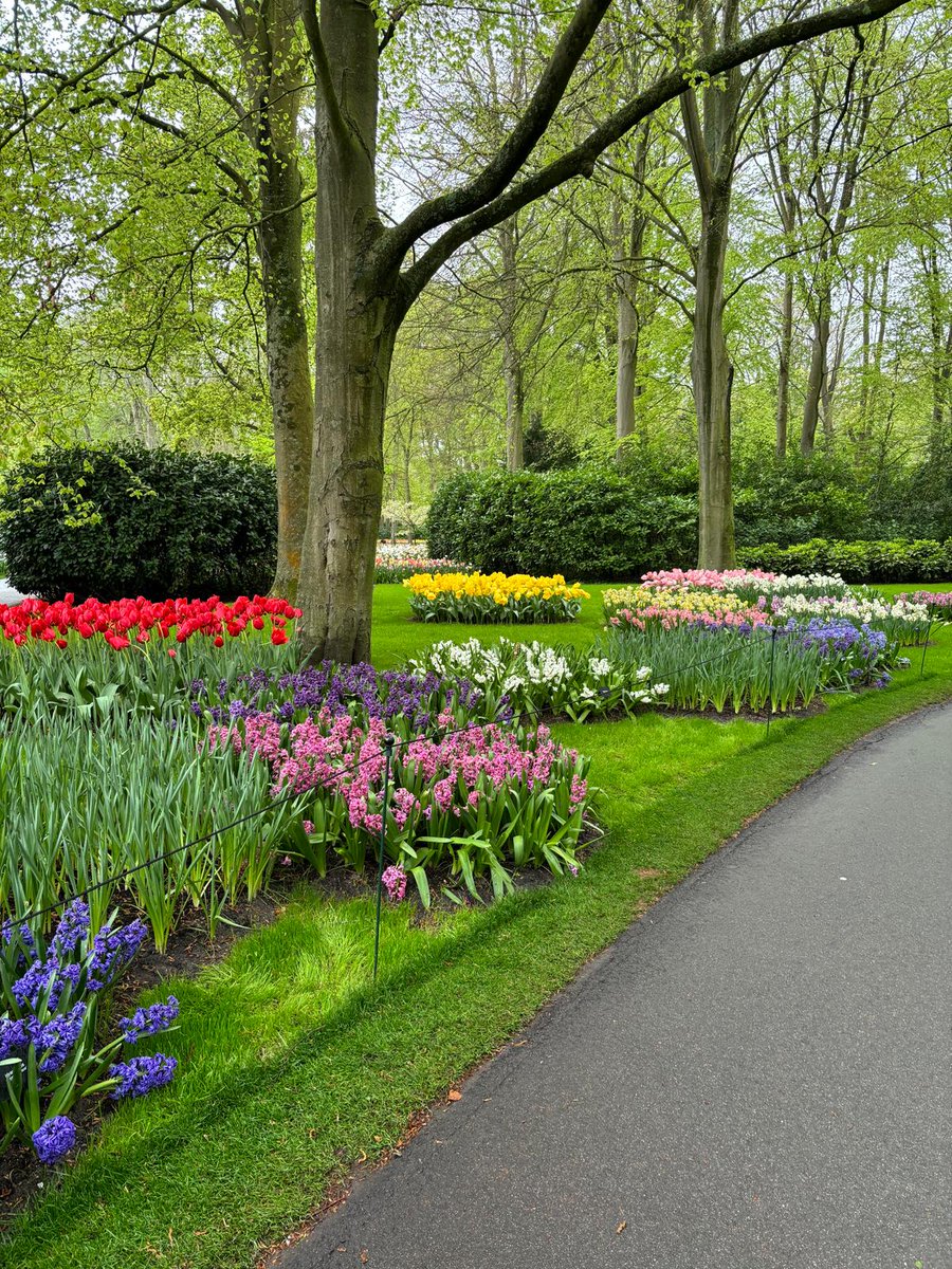 ejrquartz's tweet image. 🌼Spring has arrived in the Netherlands!☀️The days are finally getting longer and warmer. Happy holiday weekend all!🐣Time to relax, recharge and enjoy the season.
👀In the meantime, check out these shots our intern Ella took of the #Keukenhof flowers in bloom.🌷
#spring #nl