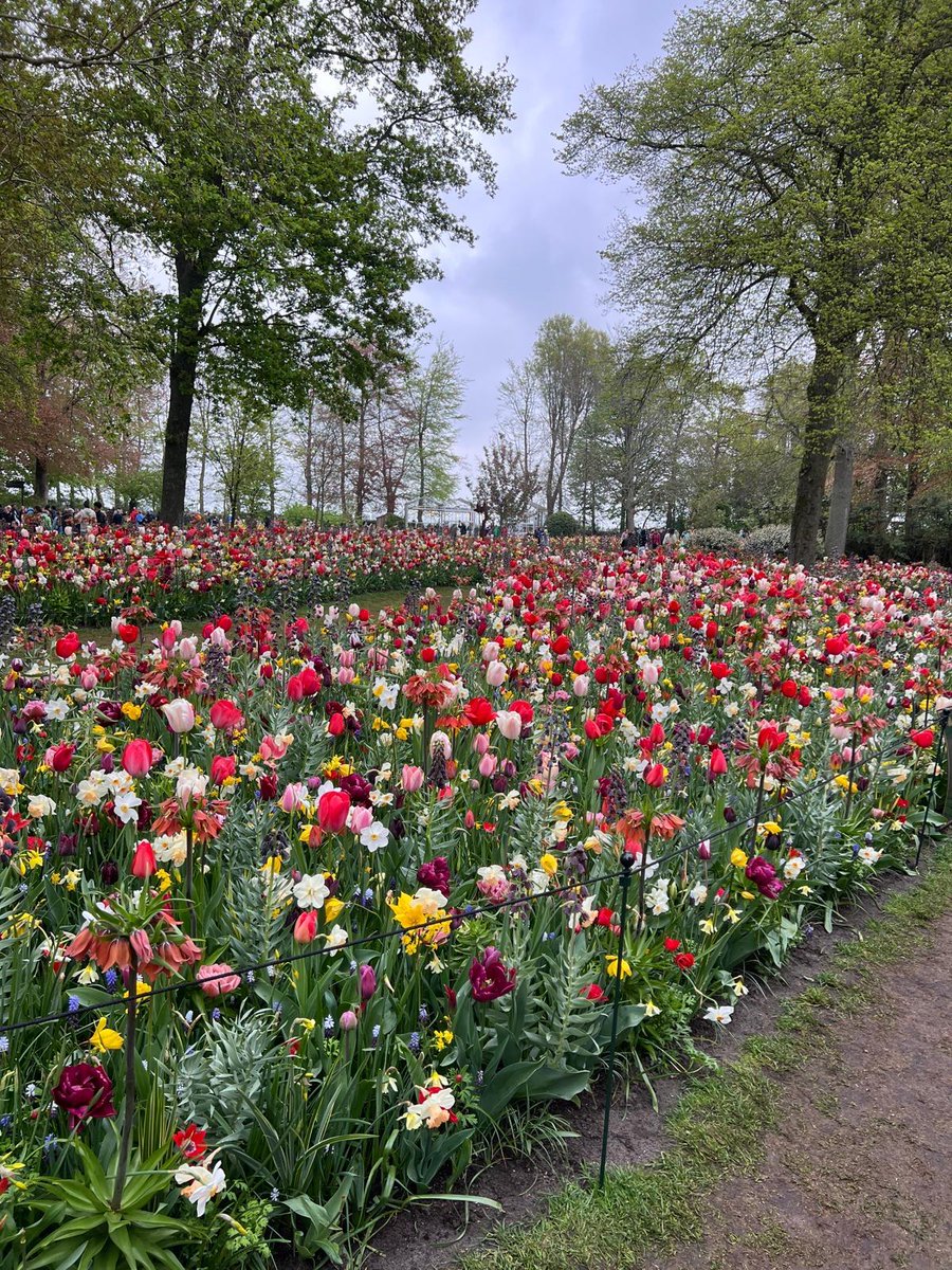 ejrquartz's tweet image. 🌼Spring has arrived in the Netherlands!☀️The days are finally getting longer and warmer. Happy holiday weekend all!🐣Time to relax, recharge and enjoy the season.
👀In the meantime, check out these shots our intern Ella took of the #Keukenhof flowers in bloom.🌷
#spring #nl