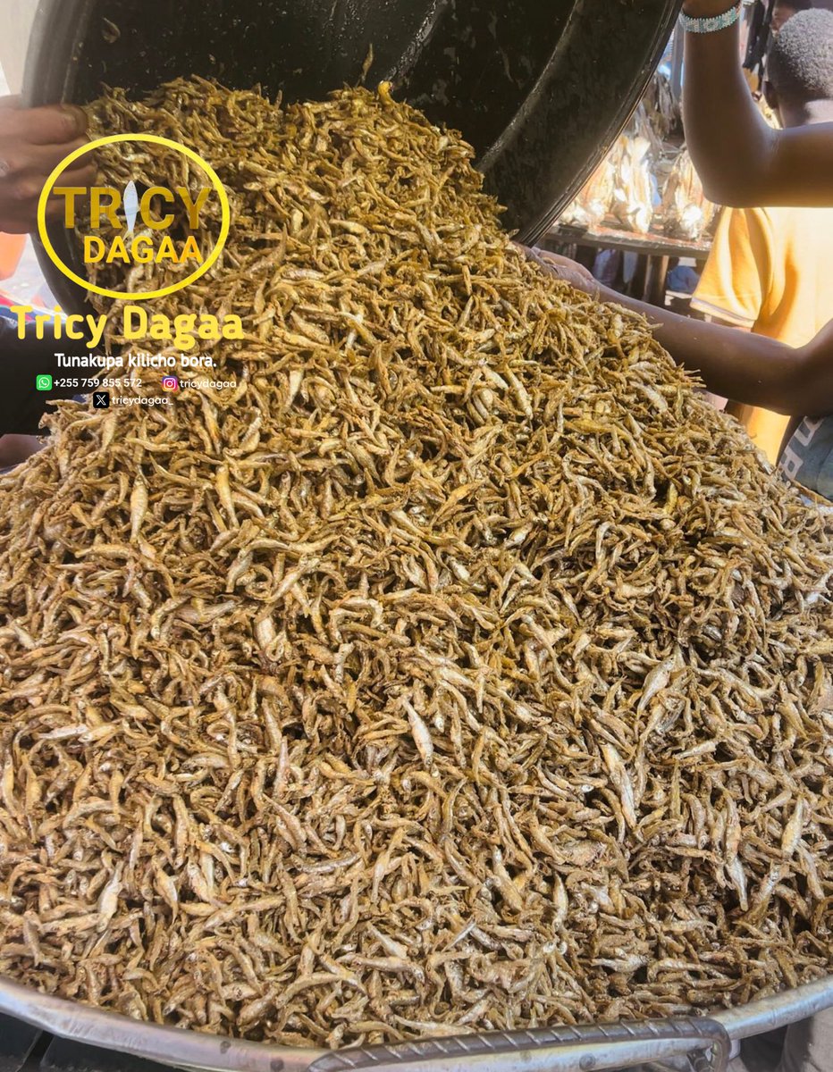 TricyLove🦁 tweet media