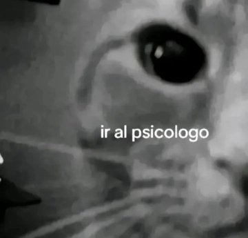 itsD3lay🐧 tweet media