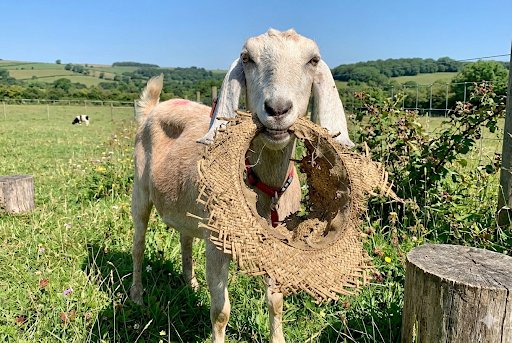 Sama Hoole tweet media