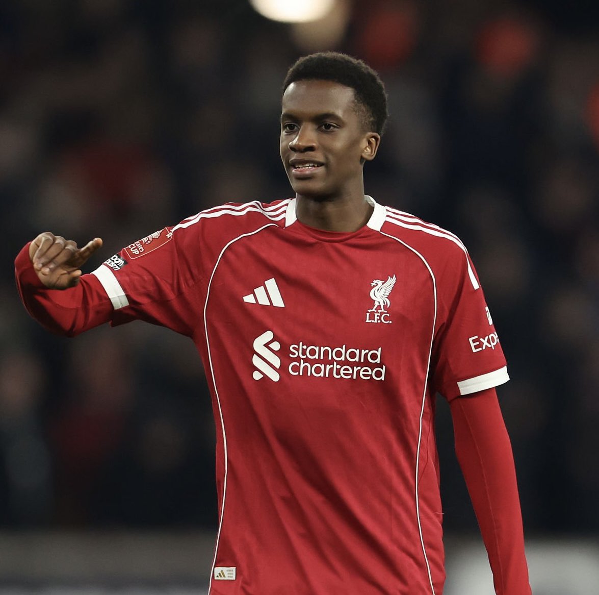 Bence Bocsák tweet media