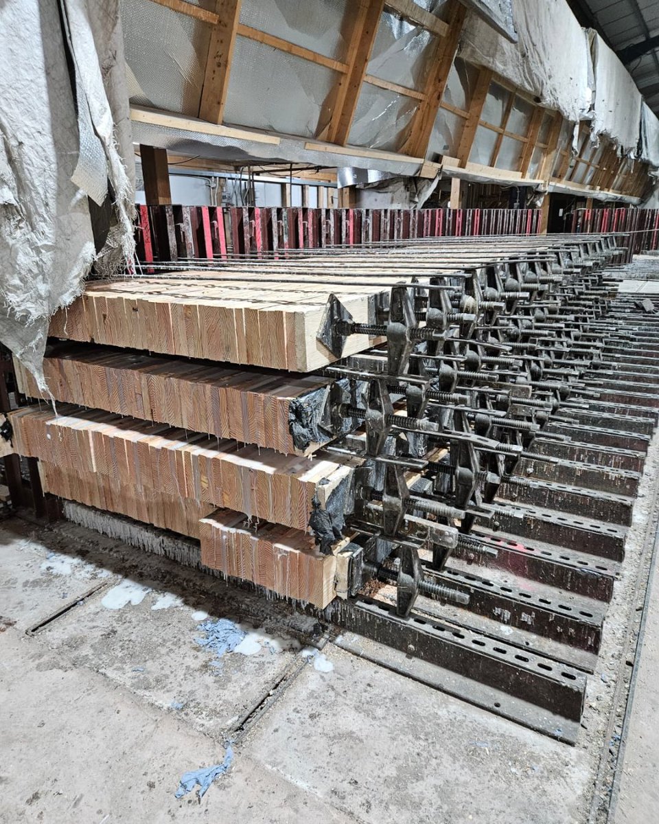 BucklandTimber's tweet photo. UK-grown #DouglasFir #glulam beams in the clamps for Yarner Woods Education Centre, Bovey Tracey.
Locally sourced timber, reduced transport, and the performance needed for structural use.
Always good to see projects start in the workshop.
#TimberEngineering #UKTimber https://t.co/6l22BfVI4x