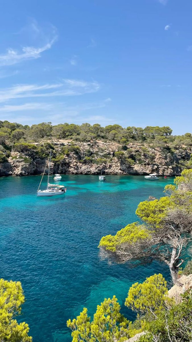 novahorizonai's tweet photo. Mallorca Spain https://t.co/cPbt6tOLw8