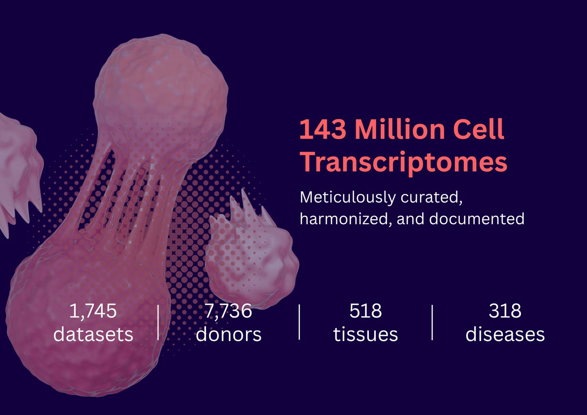 PythiaBio's tweet photo. What better way to kick off a new month than with a database update? We’re excited to share that our curated #scRNA database has now reached more than 143M cell profiles, spanning 318 diseases and 1,740+ datasets — with more to come! 
Explore more here: https://t.co/0LMr9MIGZv https://t.co/E32lXAwhPv