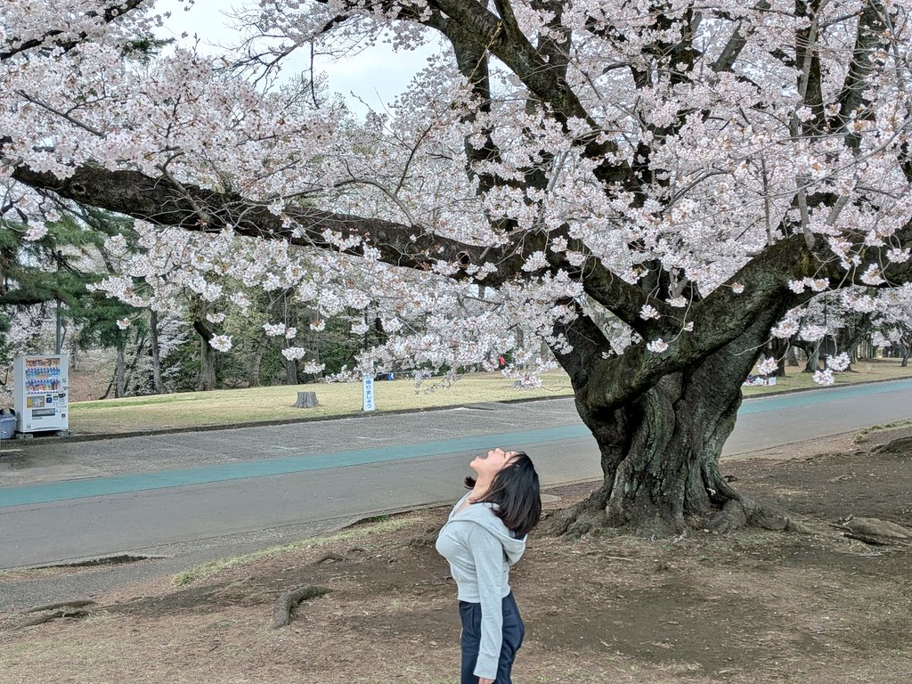 ぺこざけ　酒飲みYouTuber tweet media