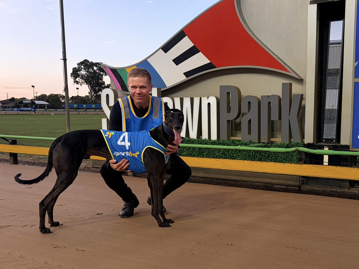 sandowndogs's tweet photo. A fast, fast start to proceedings for Launching Pad night!

Hurricane a slick 29.28s winner! https://t.co/2KWQkpzQLR
