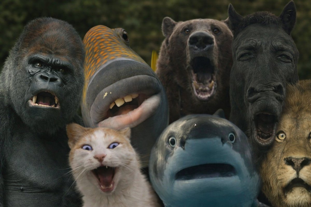 HYPEconomist | Theo Arc tweet media