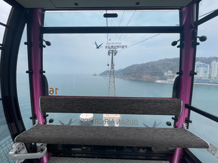 Mogoon the fish 🐟 tweet media