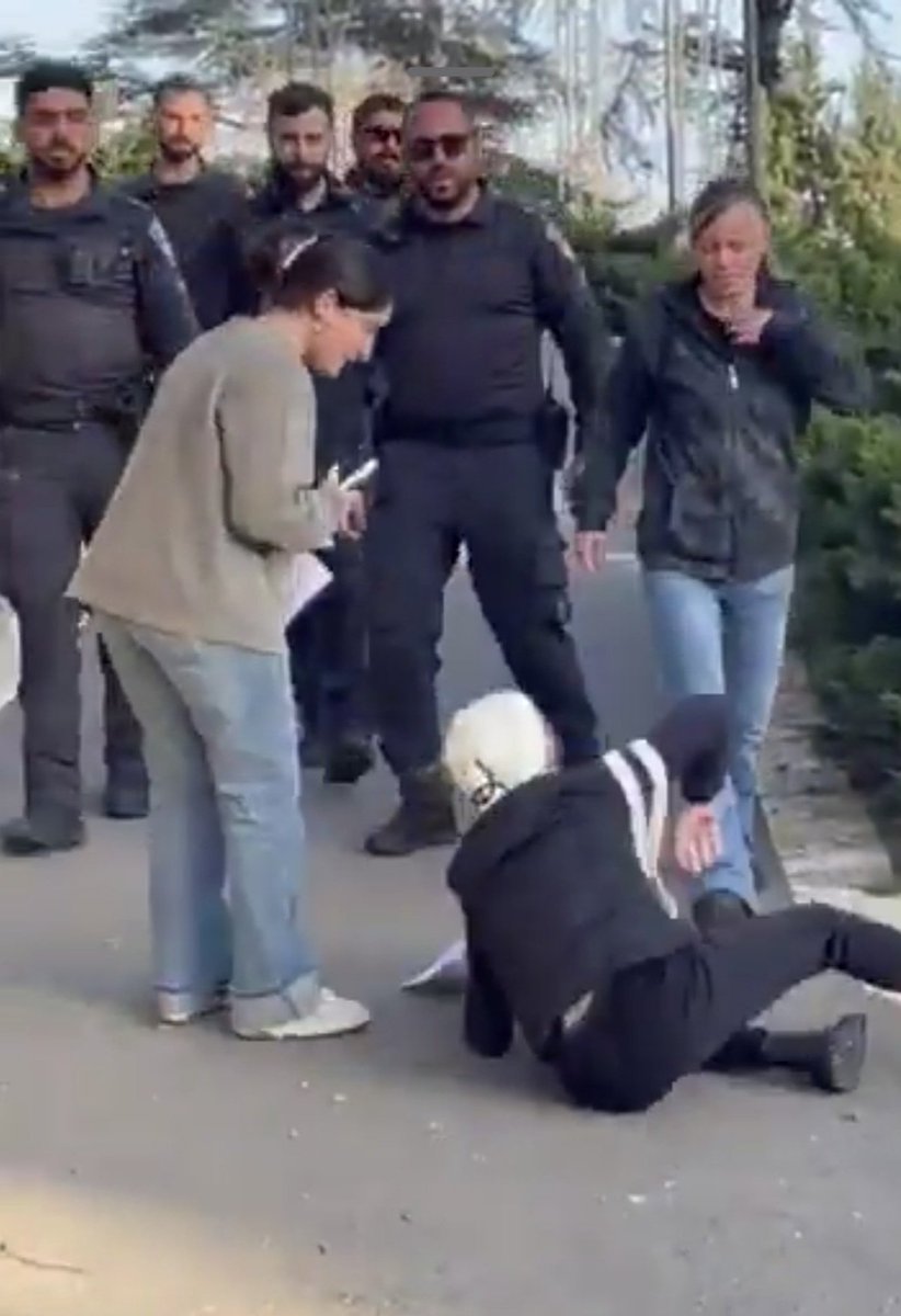 🇮🇱יפה טבג'ה - yaffa tebeje tweet media