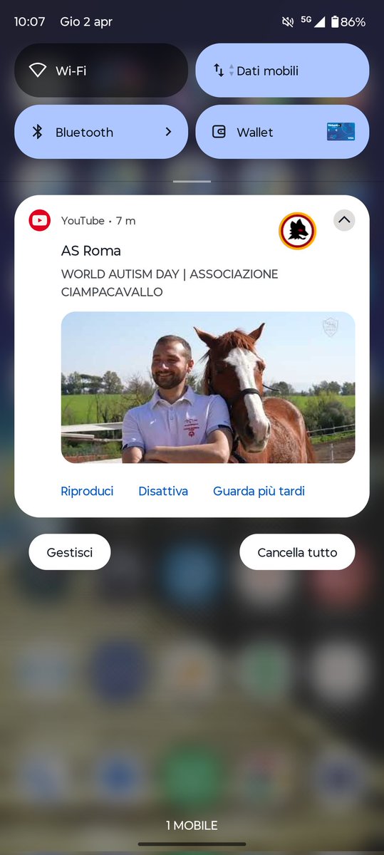 Rigale 💛❤️ tweet media