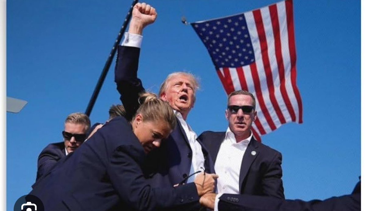 日経うさぎ tweet media