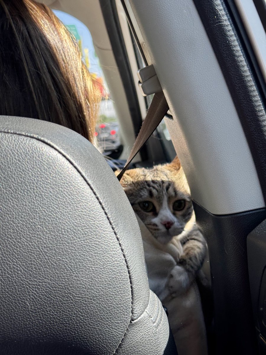 اصغرمکانیک tweet media