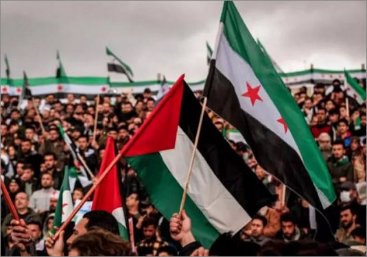 أدهم أبو سلمية tweet media