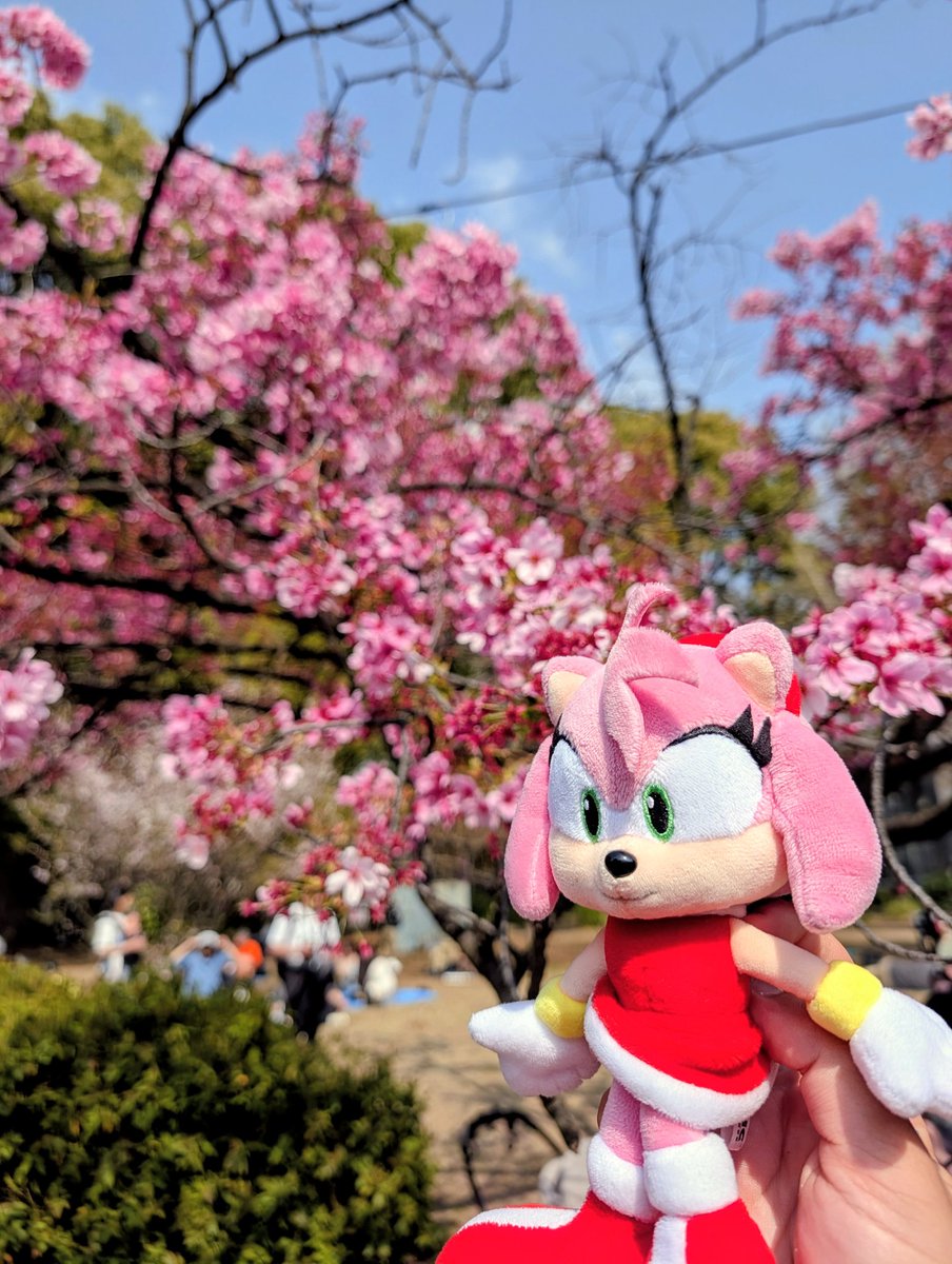 Ham (Travelling the World) @ 🇯🇵 tweet media