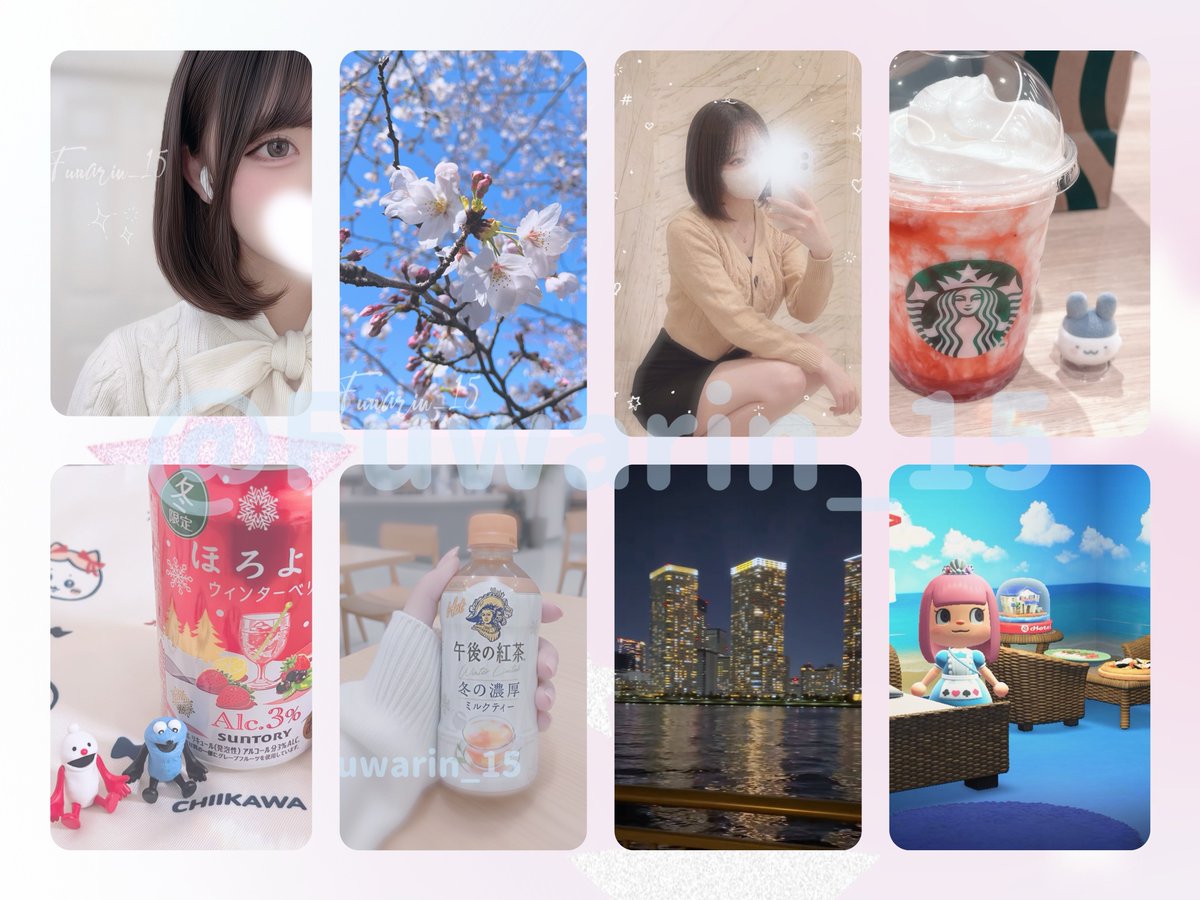 ふわり🐹🩵 tweet media