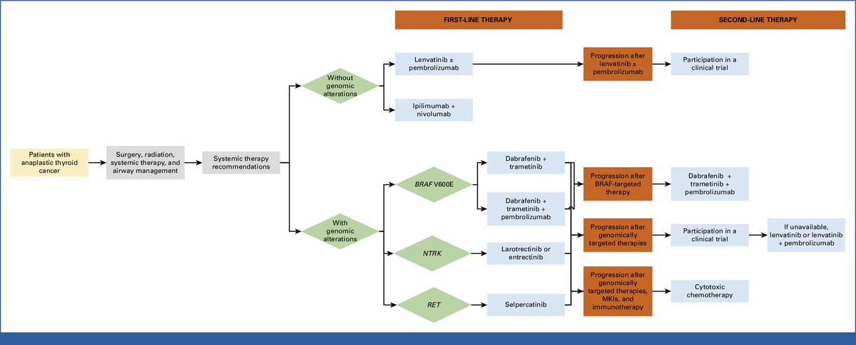Grupo GETNE tweet media