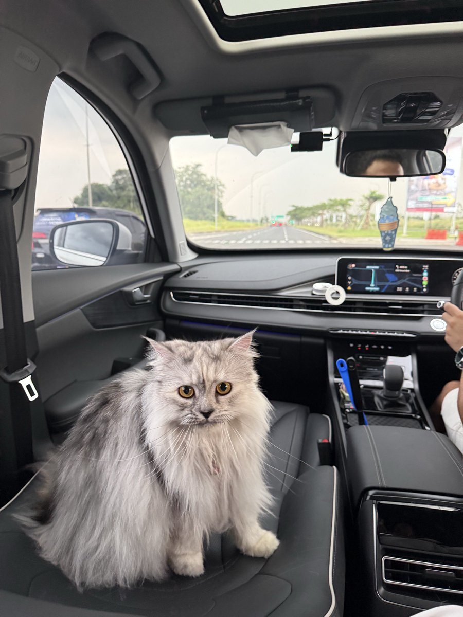 😾 Cece Bacem & ₘₑᵢₘₑᵢ tweet media